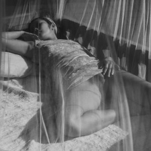 Lola - rencontre-Trans-Tarbes